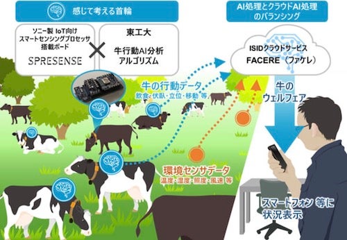 東工大 信大ら エッジai技術を活用した牛の行動観察システムを共同開発 Tech