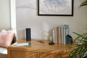 Amazon、自宅のスピーカーをAlexa対応にするデバイス「Echo Input」