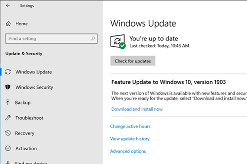 「Download and install now」オプション