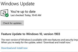 「Windows 10 May 2019 Update」は「Home」でも更新プログラムを延期可能に - 阿久津良和のWindows Weekly Report