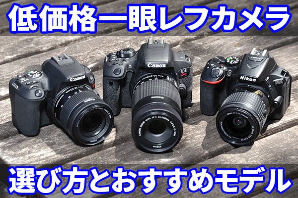 低価格一眼レフカメラの選び方 おすすめ機種の実写作例も掲載 (1 