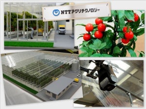 農業×ICTの専業会社「NTTアグリテクノロジー」とは?