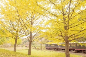 京都丹後鉄道「丹後くろまつ号」秋・冬コース発売、初の体験付きも