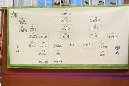 相葉雅紀 日テレ初の単独mc 家系図バラエティで まさか マイナビニュース