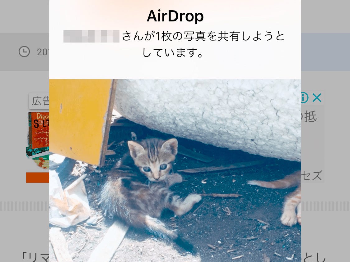 知らない人からairdropでほっこり猫画像が 受け取ってもいい いまさら聞けないiphoneのなぜ マイナビニュース