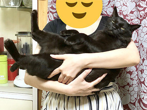 猫ちゃんのなんともいえぬ“やさぐれ顔”、理由が判明し話題に