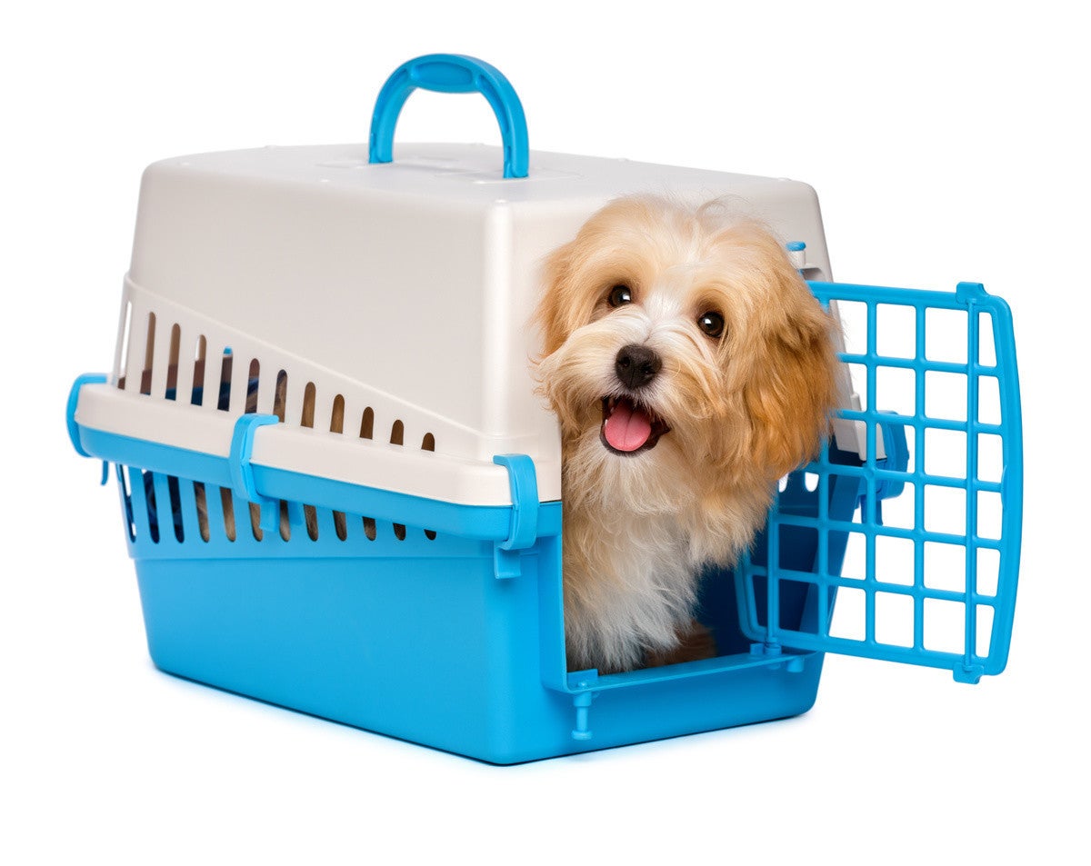 犬用キャリーバッグ人気おすすめ29選 安全おしゃれに持ち運び 小型 中型 大型 マイナビニュース