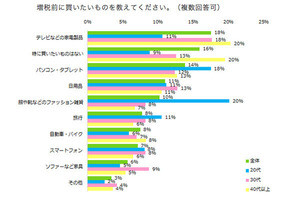 増税後の節約対象となったもの、1位は?