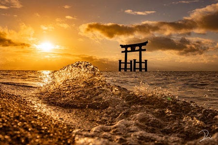 あまりに神々しすぎる 滋賀県 白鬚神社で撮影された写真が話題に マイナビニュース