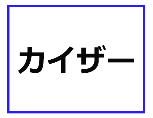 カイザー って どういう意味かわかる ナース業界の専門用語クイズ 2 マイナビニュース