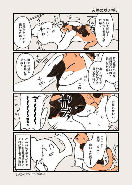 イチャイチャしていたと思ったら 急に猫がキレる タイミングを漫画にしたツイートが話題に マイナビニュース