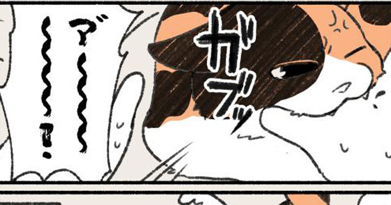 イチャイチャしていたと思ったら 急に猫がキレる タイミングを漫画にしたツイートが話題に マイナビニュース