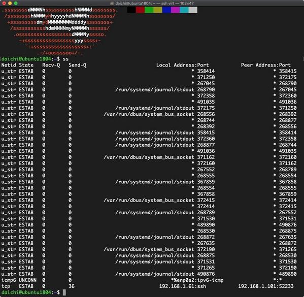 Linuxでネットワークをモニタするコマンド Ss の使い方まとめ Tech