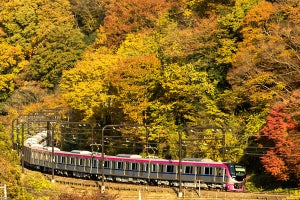 京王電鉄5000系「Mt.TAKAO号」高尾山の紅葉シーズンに合わせて運行