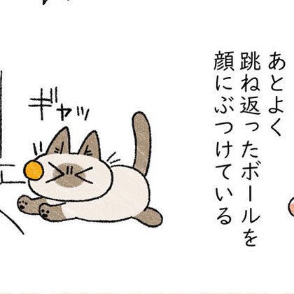 猫にスーパーボールを与えると起きること 描いた漫画にツイッターで反響 マイナビニュース