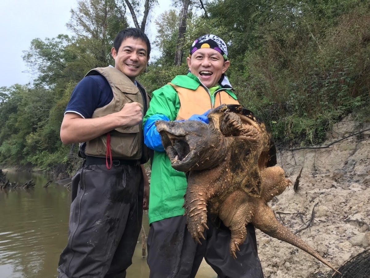 池の水ぜんぶ抜く アメリカへ 巨大危険生物たちの生態を知る マイナビニュース