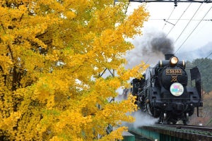 秩父鉄道「SLパレオdeランチ」12系客車の車内で有名店のコース料理