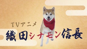 TVアニメ『織田シナモン信長』、全編実写ティザーPV公開！追加キャスト発表