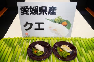 1週間限定! かっぱ寿司で幻の高級魚クエを300円で食べられる