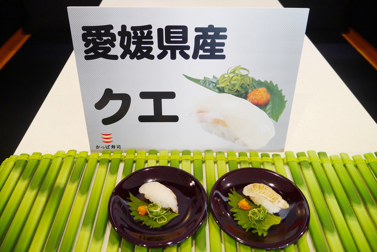 1週間限定 かっぱ寿司で幻の高級魚クエを300円で食べられる マイナビニュース