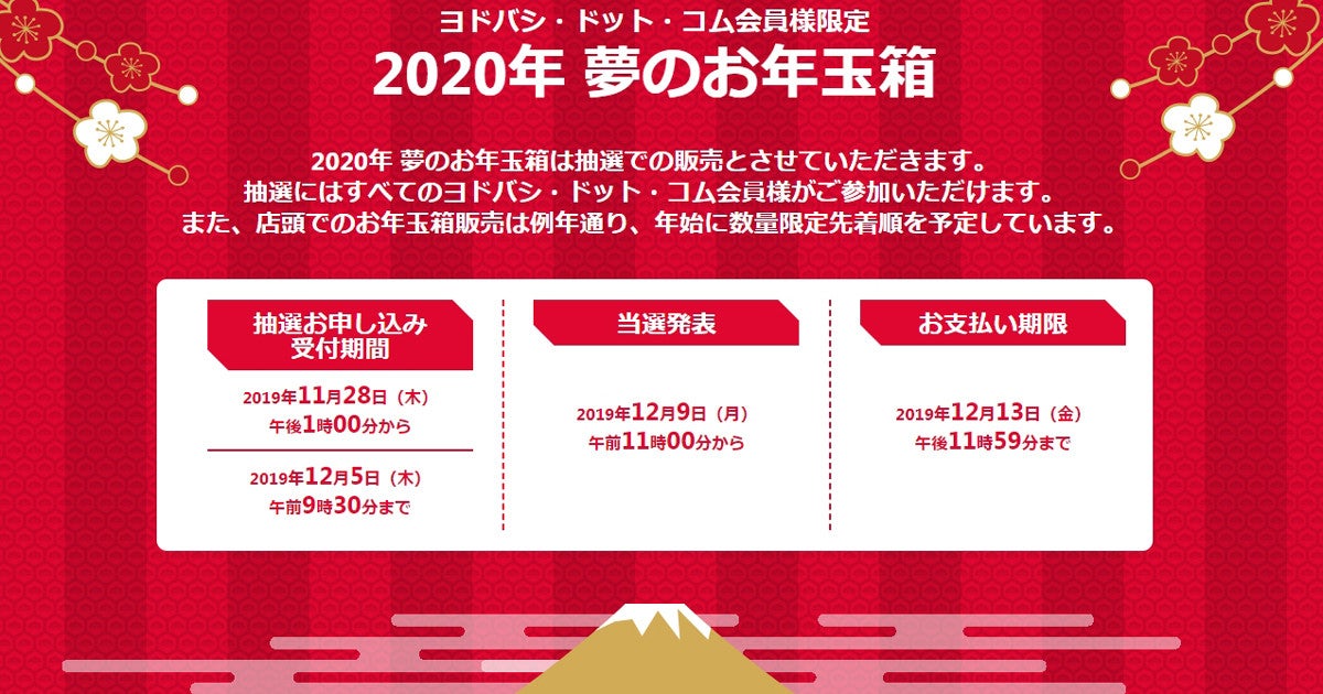 ヨドバシカメラ「2020年 夢のお年玉箱」、一番人気は高級コンデジ | マイナビニュース