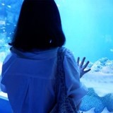 管理栄養士／フードスペシャリスト:矢崎 海里