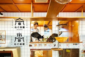 保護猫カフェ併設のホステル「ねこ浴場&ねこ旅籠」がオープン