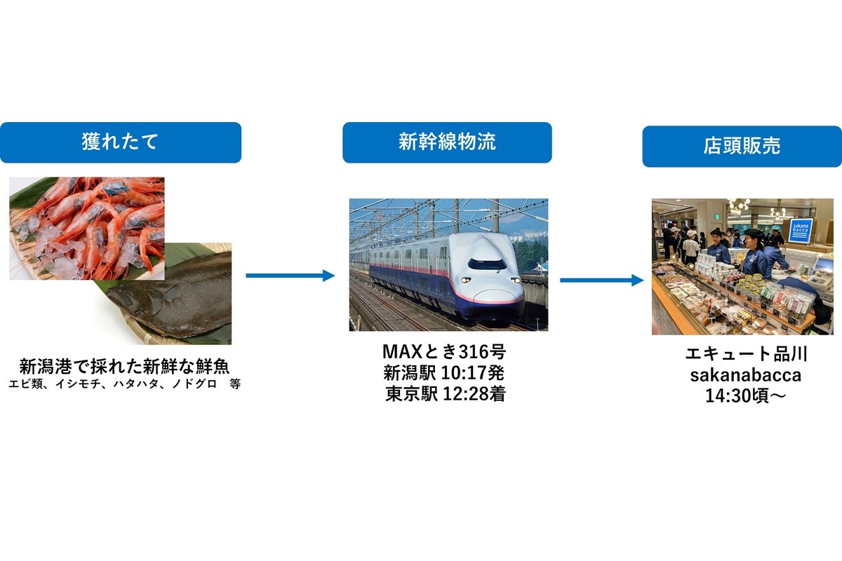 上越新幹線 Maxとき316号 で新潟県の海産物を輸送 品川駅で販売 マイナビニュース