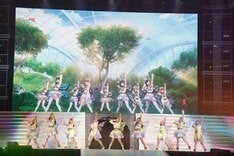 ラブライブ フェス でm S鮮やか再集結 伊波杏樹は涙で 最高でした マイナビニュース