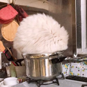目を離したら「吹きこぼれ」てた? 鍋からあふれでる猫の様子、可愛らしすぎてツイッターで大盛りあがり