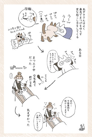 猫が起こしに来たと思ったら 気まずさがすごい 恥ずかしエピソード を描いた漫画 ツイッターで大盛りあがり マイナビニュース