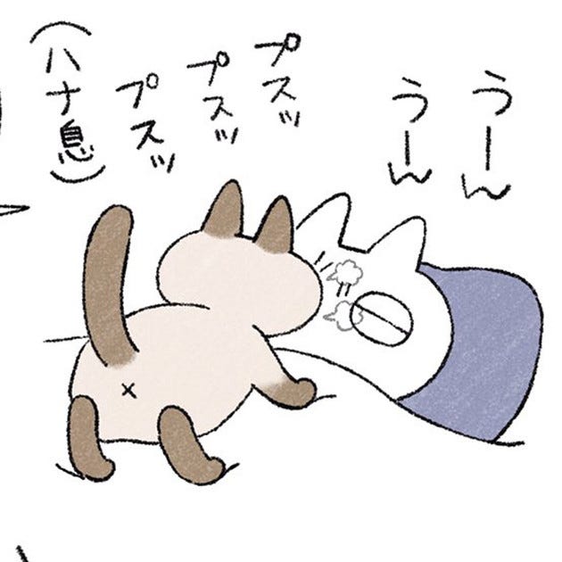 猫 女性 4 コマ Twitter mamiintyu