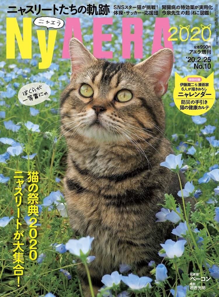 猫にスポット当てたaera増刊 ニャエラに伊藤潤二らのイラスト使った