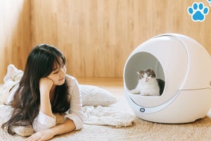 自動排せつ処理技術を搭載した猫用トイレ「Petree」