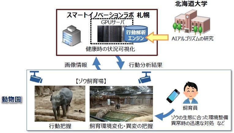 Ntt東日本と北大 動物園飼育の高度化と手話翻訳の自動化 マピオンニュース