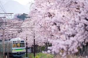 秩父鉄道「でんしゃでおでかけ」キャンペーン、沿線応援企画を開催