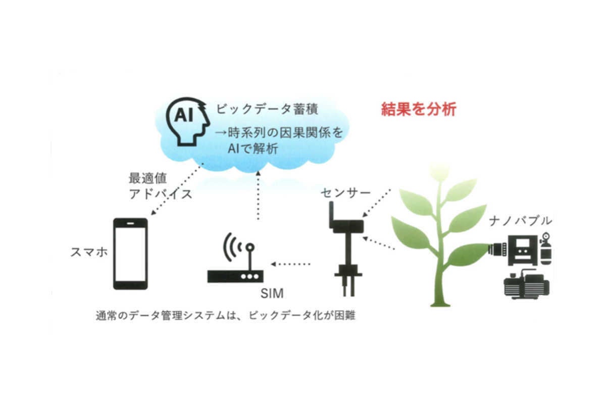 カクイチがibmの支援でai活用した農業用散水システム マイナビニュース