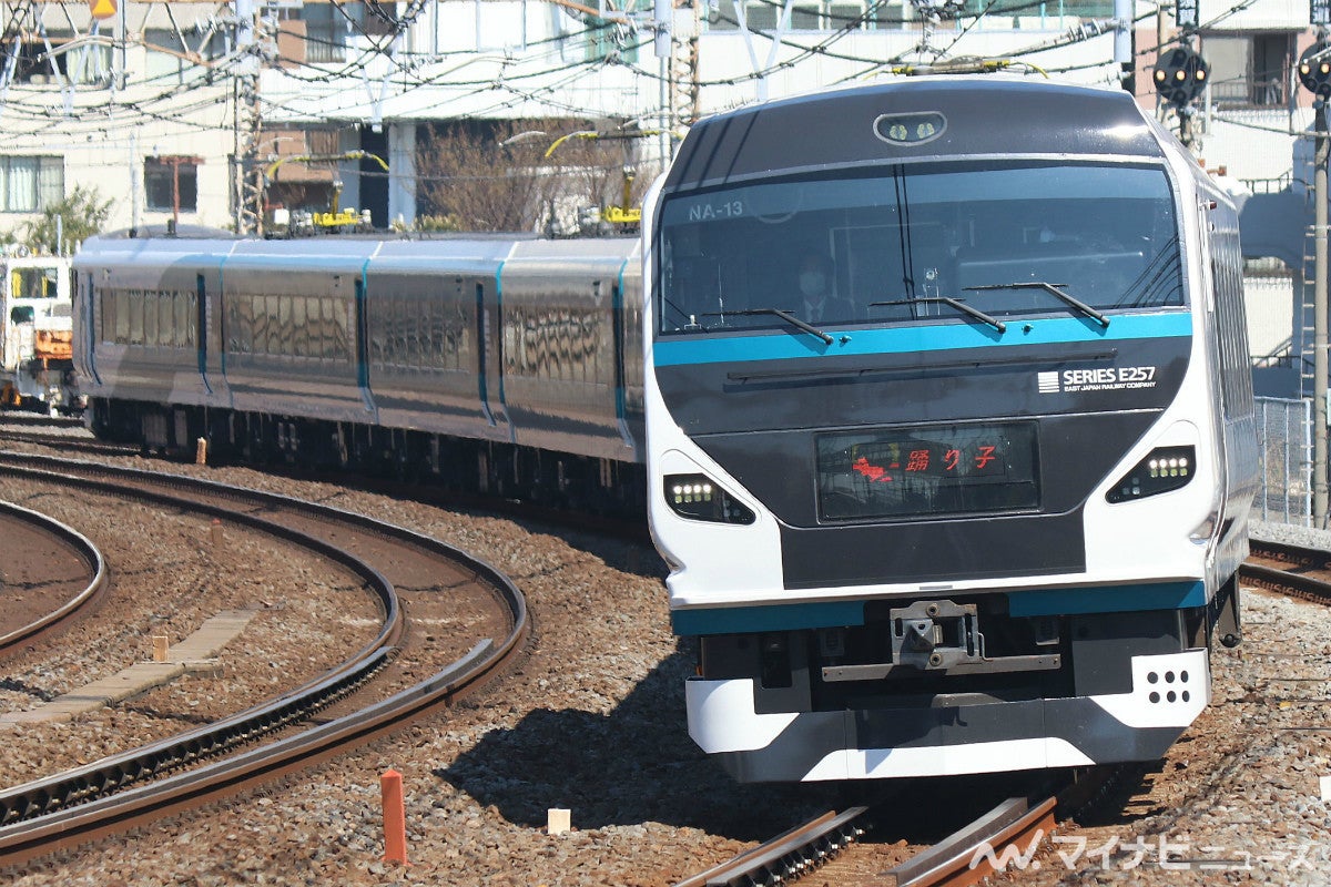 プチギフト 新型特急列車踊り子号 踊り子号運転記念 急行列車はと 特急