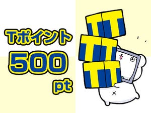 【5名様】Tポイント500pt