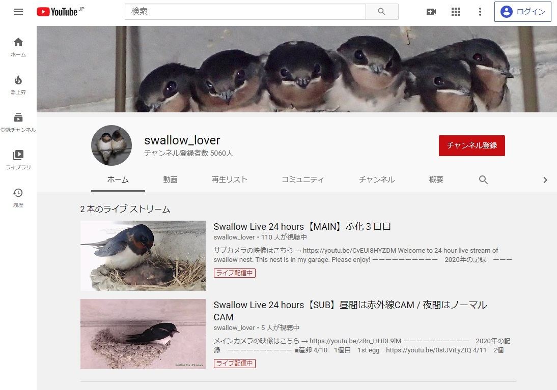 動物のライブ映像が24時間観られる おすすめyoutubeチャンネル13選 1 マイナビニュース