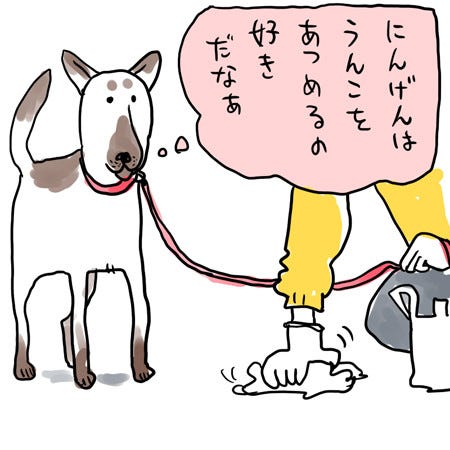 人間は を集めるのが好きだなぁ あなたの犬もそう思っているかも ツイートに注目 だからか そういえば と同意の声 マイナビニュース