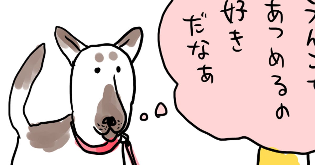 人間は を集めるのが好きだなぁ あなたの犬もそう思っているかも ツイートに注目 だからか そういえば と同意の声 マピオンニュース