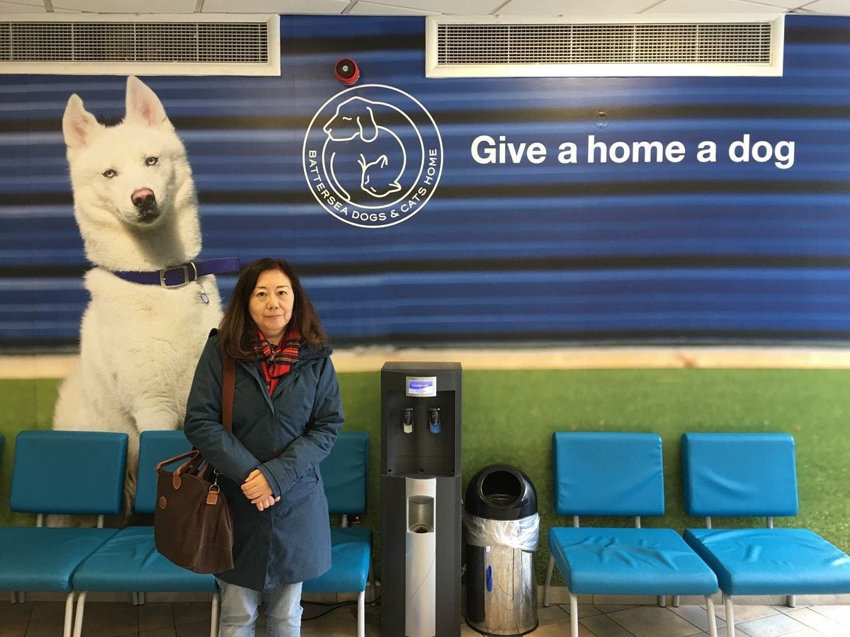 犬猫への深い愛情でドキュメンタリー制作 山田あかね氏が描く 命に向き合う強さ 1 マイナビニュース