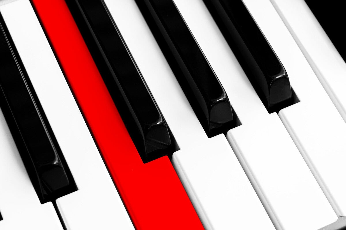 ロールピアノ おすすめ12選 用途 鍵盤数 重量 機能で選ぶ マイナビニュース