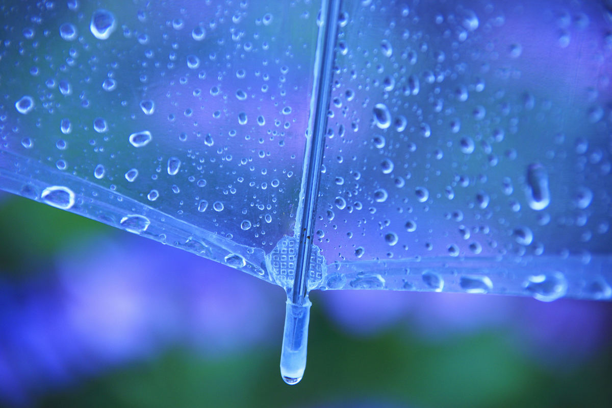 梅雨は運気がダウン 今すぐやるべきこと マイナビニュース