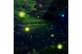 【毎日がアプリディ】初夏の夜の美しい蛍をスマホの壁紙に！「蛍 ライブ壁紙」