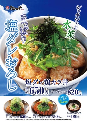 松のや、夏にぴったり「塩ダレ鶏カラ丼」「塩ダレかつ定食」を発売!