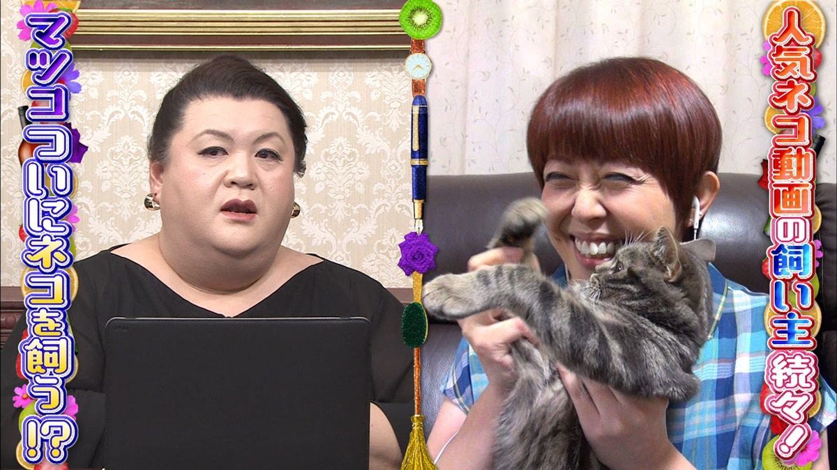 マツコ スタッフの猫飼い主への質問にキレる 何言ってるんですか マイナビニュース