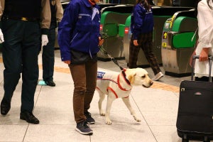 JR東日本、東京駅・上野駅・大宮駅で危険物探知犬の運用試験を実施