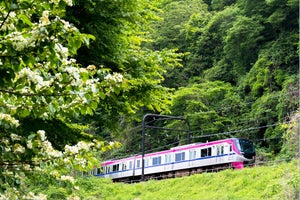 京王電鉄、高尾山口発新宿行「Mt.TAKAO号」など土休日4日間に運行